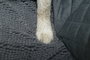 Dog Gone Smart Protector de Asientos Coche Gris 137x55 cm (Set de 8)