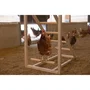 Kerbl Torre trepadora para gallinas KER4018653390924 - 85 x 55 x 76 cm - Con columpio - Escalera robusta