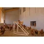 Kerbl Torre trepadora para gallinas KER4018653390924 - 85 x 55 x 76 cm - Con columpio - Escalera robusta
