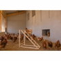 Kerbl Torre trepadora para gallinas con columpio y escalera robusta
