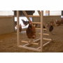 Kerbl Torre trepadora para gallinas con columpio y escalera robusta