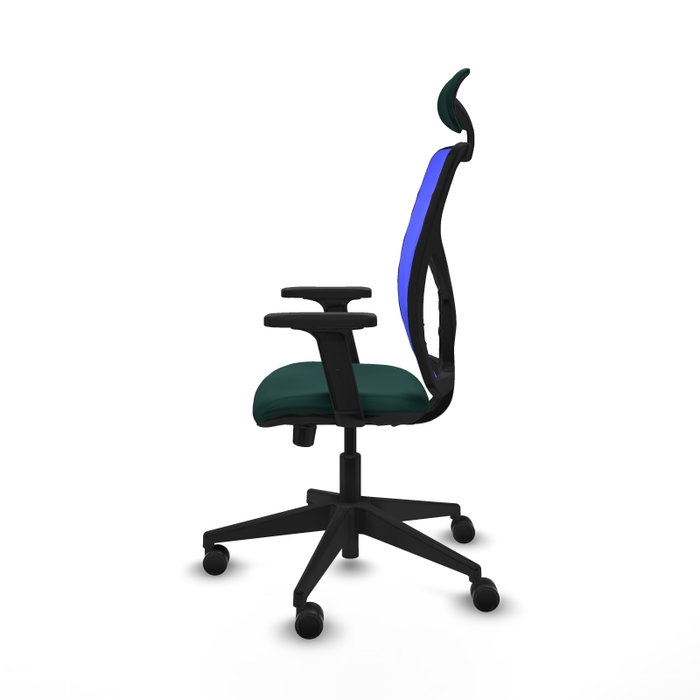 PIQUERAS Y CRESPO Silla de oficina Motilla con mecanismo Sincro/Traslack Verde botella y Azul PIQUERAS Y CRESPO Silla de oficina Motilla con mecanismo Sincro/Traslack Verde botella y Azul