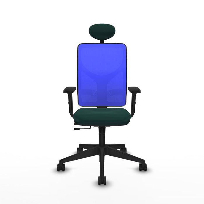 PIQUERAS Y CRESPO Silla de oficina Motilla con mecanismo Sincro/Traslack Verde botella y Azul PIQUERAS Y CRESPO Silla de oficina Motilla con mecanismo Sincro/Traslack Verde botella y Azul