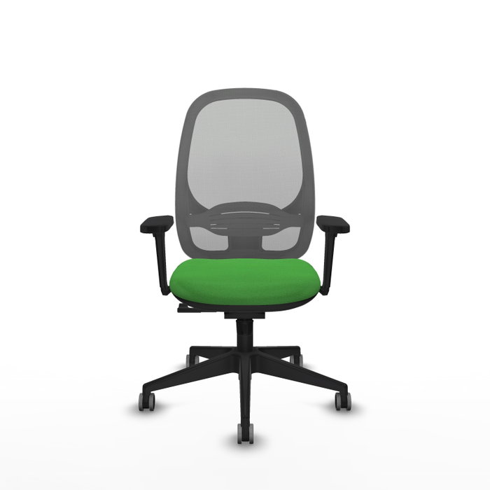 PIQUERAS Y CRESPO Silla de oficina Cilanco Verde y Gris PIQUERAS Y CRESPO Silla de oficina Cilanco Verde y Gris