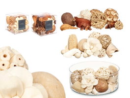 Giftdecor Set Popurri Cuadrado 2 Modelos Surtido 14x14x14 cm (Set de 12)