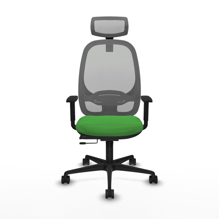 PIQUERAS Y CRESPO Silla de oficina Cilanco con mecanismo Sincro/Traslack Verde y Gris