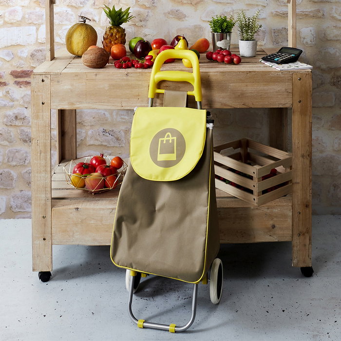 Entre Temps Carro Compra 50L Estructura Acero Ruedas Goma Colores Surtidos