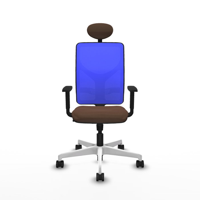 PIQUERAS Y CRESPO Silla de oficina Motilla con mecanismo Sincro, Marrón oscuro y Azul PIQUERAS Y CRESPO Silla de oficina Motilla con mecanismo Sincro, Marrón oscuro y Azul
