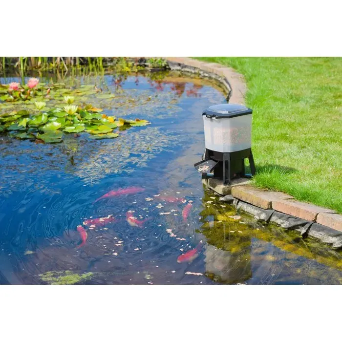 Ubbink - Alimentador Automático para Peces Solar, Depósito 6L, Programable 1-6 Tomas/Día, UBB8711465561006