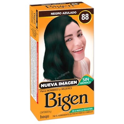 Bigen Tinte Permanente en Polvo 88 Negro Azulado 6G