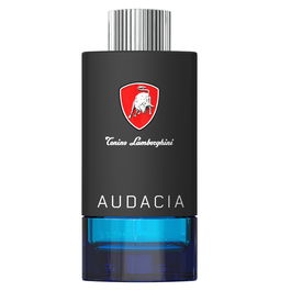 Techno Audacia, Agua de Tocador, Para hombres, 100 ml