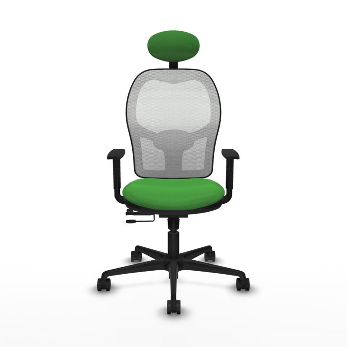 PIQUERAS Y CRESPO Silla de oficina Jorquera con mecanismo Sincro/Traslack, Tela Verde y Malla Blanca PIQUERAS Y CRESPO Silla de oficina Jorquera con mecanismo Sincro/Traslack, Tela Verde y Malla Blanca
