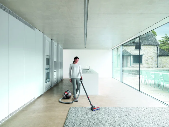 Dyson Cinetic Big Ball Absolute 2, Gris y Níquel