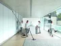 Dyson Cinetic Big Ball Absolute 2, Gris y Níquel
