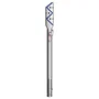 Dyson Cinetic Big Ball Absolute 2