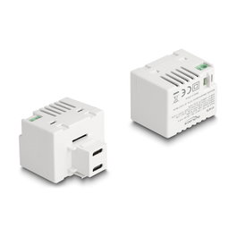 DeLOCK Módulo Keystone con 2 puertos de carga USB Type-C™ PD 20 W blanco