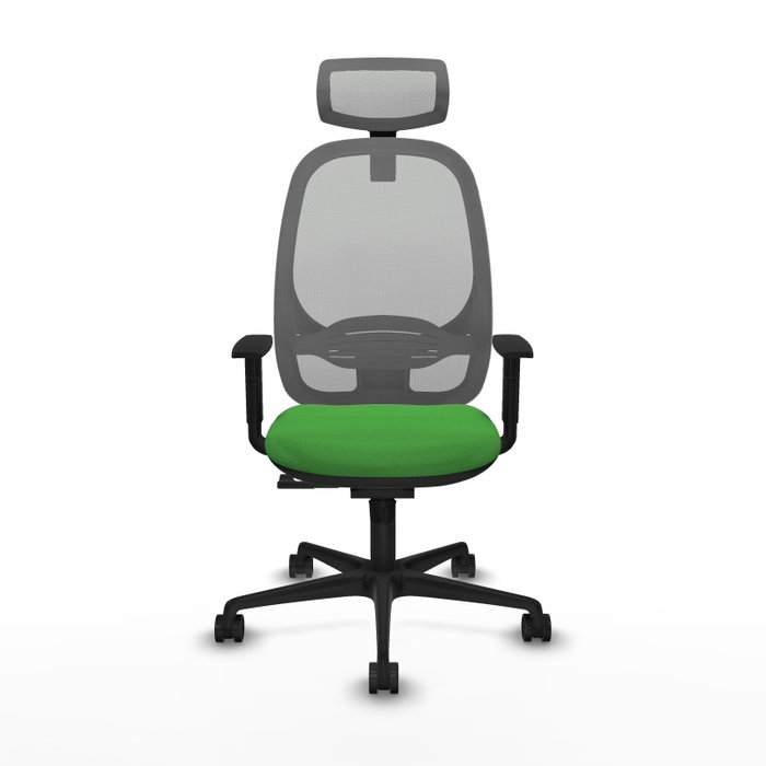 PIQUERAS Y CRESPO Silla de oficina Cilanco con mecanismo Sincro, Verde y Gris PIQUERAS Y CRESPO Silla de oficina Cilanco con mecanismo Sincro, Verde y Gris