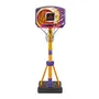 Vtech VTE3417765714054 Aro de Baloncesto Super Interactivo - Idioma francés