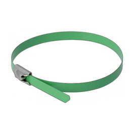 DeLOCK Bridas de Acero Inoxidable 200 x 4,6 mm Verde 10 Piezas