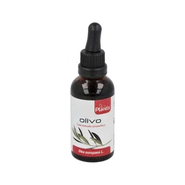 Maese Herbario Extracto de Olivo 50ml | Ext.Olivo | Extracto de Hojas de Olea Europaea para Sistema Inmunológico y Cardiovascular