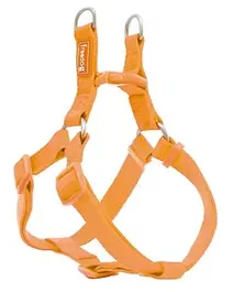 Freedog Arnés Nylon Tipo A Naranja 10 mm X 20-36 cm