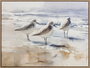 DKD Home Decor Cuadro Lienzo Playa Gaviotas Surtido de 2