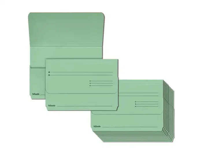 Esselte Subcarpeta Pocket con Bolsa Fuelle Verde de 275g