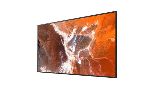 Sony BZ30P Pantalla plana para señalización digital 65 pulgadas 4K Ultra HD Negro