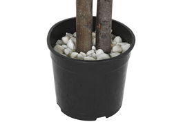 DKD Home Decor Árbol Verde 80 x 150 x 80 cm (2 Unidades) Poliester Madera Cemento Mango Maceta Negra PP