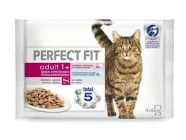 Mars Perfect Fit Pescado 13x4x85 gr Comida Húmeda para Gatos