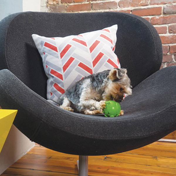 Petsafe Busy Buddy Elephunk SM