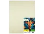 Liderpapel Cartulina Amarilla 50x65 cm 180g/m2 (25 hojas)