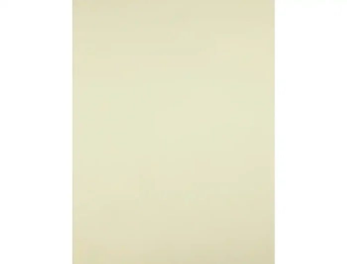 Liderpapel Cartulina Amarilla 50x65 cm 180g/m2 (25 hojas)