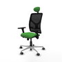 PIQUERAS Y CRESPO Silla de oficina Motilla con mecanismo Sincro/Traslack, Verde y Negro