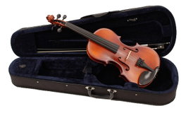 Viola Höfner de 16"