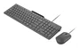 Lenovo GX31R09794 Combo Teclado y Ratón USB Español Gris