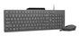 Lenovo GX31R09794 Combo Teclado y Ratón USB Español Gris