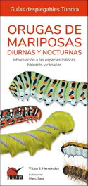 ORUGAS DE MARIPOSAS - VICTOR J HERNANDEZ - TUNDRA