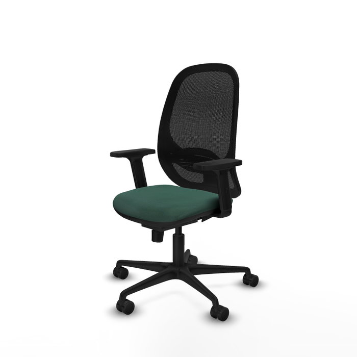 PIQUERAS Y CRESPO Silla de oficina Cilanco con mecanismo Sincro Verde botella y Negro PIQUERAS Y CRESPO Silla de oficina Cilanco con mecanismo Sincro Verde botella y Negro