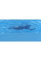 SD Toys Jaws Figura Póster 3D 50 Aniversario con Luz LED