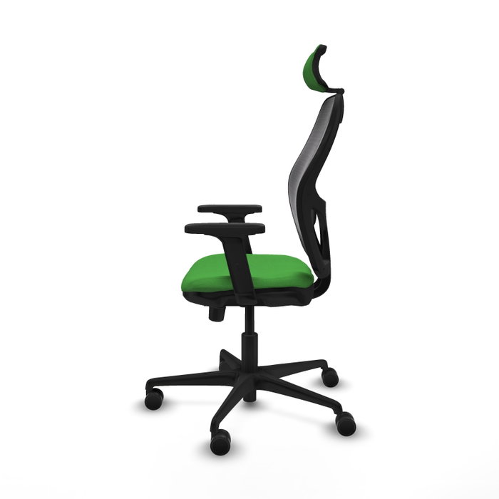 PIQUERAS Y CRESPO Silla de oficina Jorquera con mecanismo Sincro/Traslack, Verde y Negro PIQUERAS Y CRESPO Silla de oficina Jorquera con mecanismo Sincro/Traslack, Verde y Negro