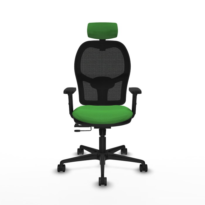 PIQUERAS Y CRESPO Silla de oficina Jorquera con mecanismo Sincro/Traslack, Verde y Negro PIQUERAS Y CRESPO Silla de oficina Jorquera con mecanismo Sincro/Traslack, Verde y Negro