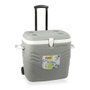 Hidalgo Nevera Camping 41L Gris Ruedas Asa Telescópica 60h Ultra