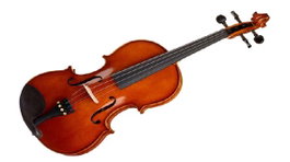Viola Höfner 15" As-170