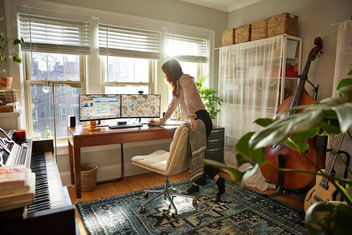 HP Monitor P24v G5 HP Monitor P24v G5