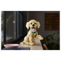LEGO Icons Cachorro de Golden Retriever 11384