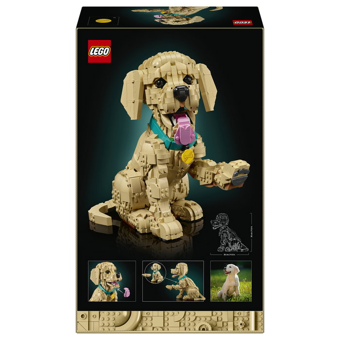 LEGO Icons 11384 Cachorro de Golden Retriever