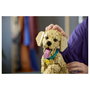 LEGO Icons 11384 Cachorro de Golden Retriever