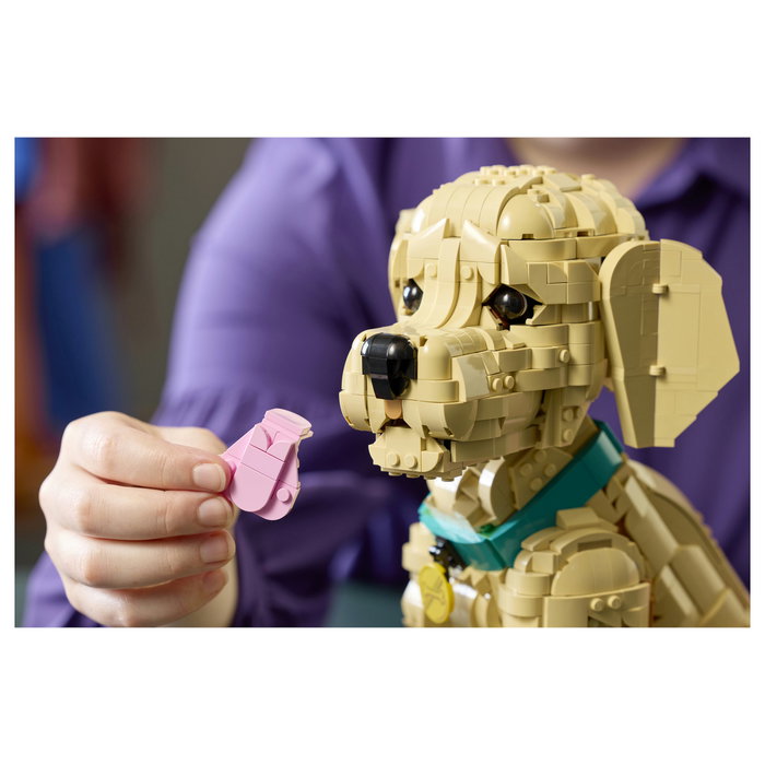 LEGO Icons Cachorro de Golden Retriever 11384 LEGO Icons Cachorro de Golden Retriever 11384