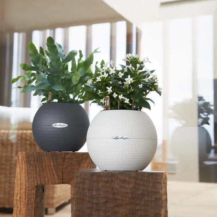 LECHUZA Jardinera PURO Color 50 TODO EN UNO diámetro 50 cm pizarra 446116